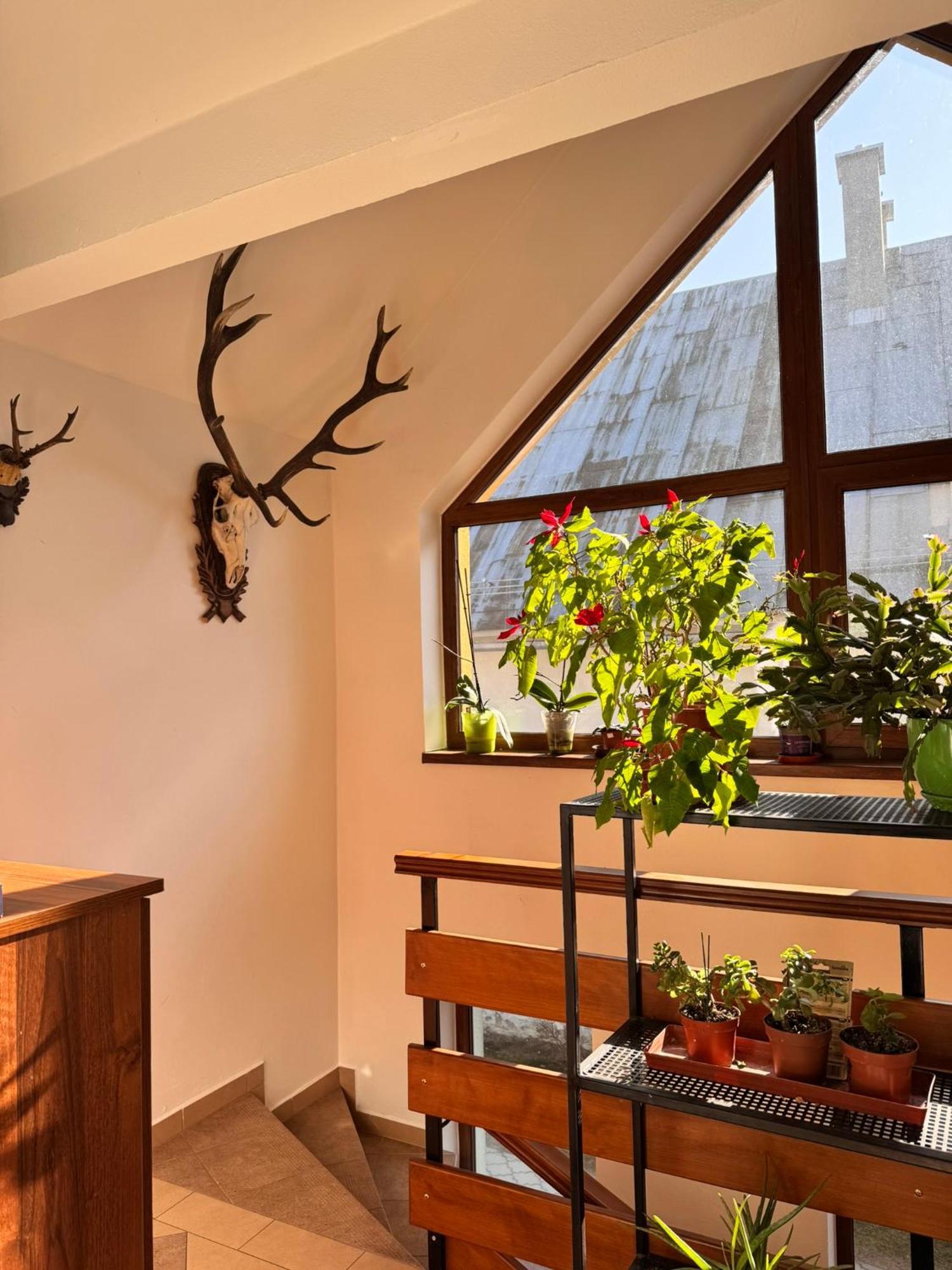 Apartmany Kenka Spisska Stara Ves Ngoại thất bức ảnh